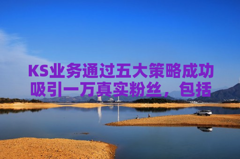 KS业务通过五大策略成功吸引一万真实粉丝，包括内容为王、互动增加、合作推广等。