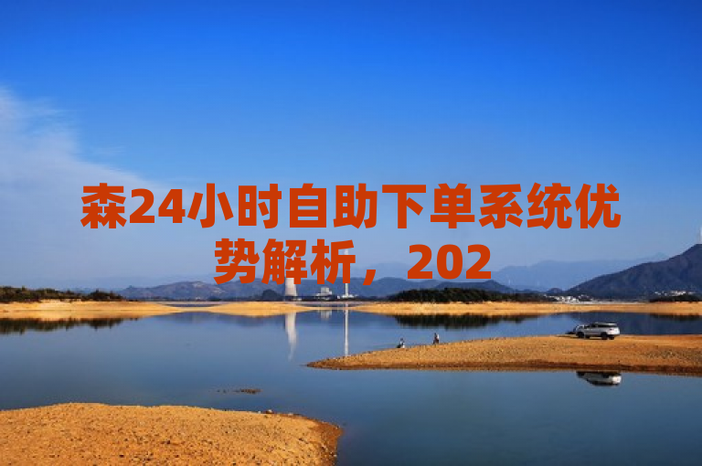 森24小时自助下单系统优势解析，2025年必学技能揭秘！