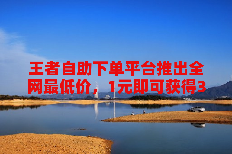王者自助下单平台推出全网最低价，1元即可获得3000粉丝且保证不掉粉。