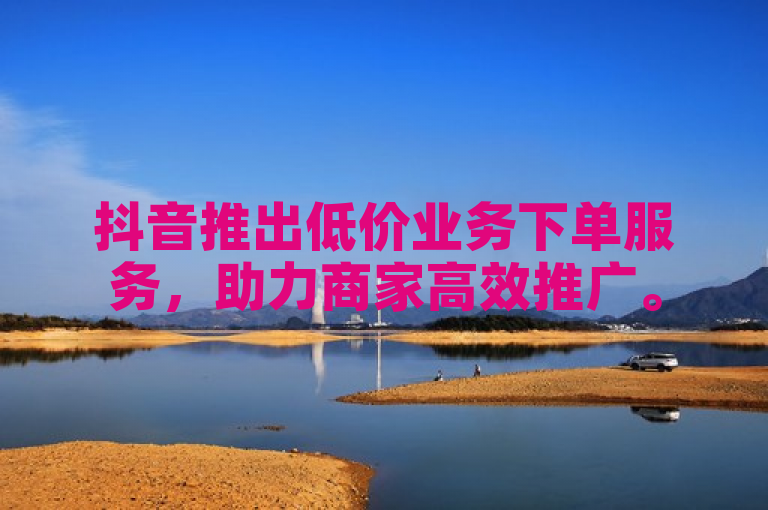 抖音推出低价业务下单服务，助力商家高效推广。