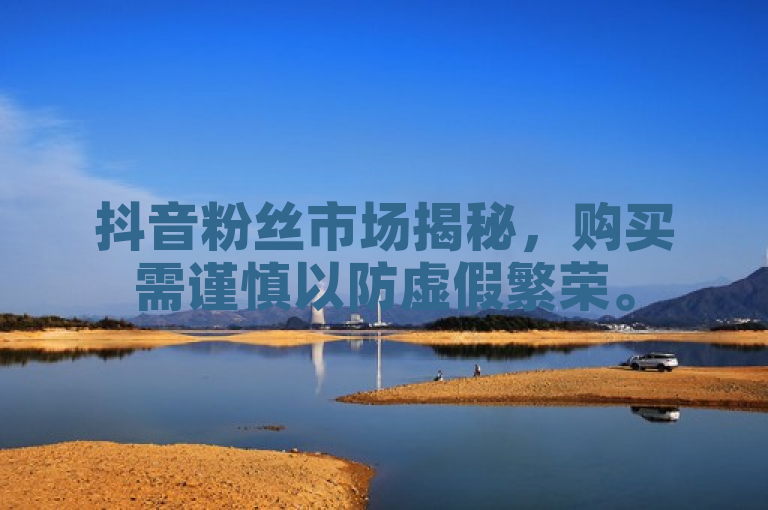 抖音粉丝市场揭秘，购买需谨慎以防虚假繁荣。