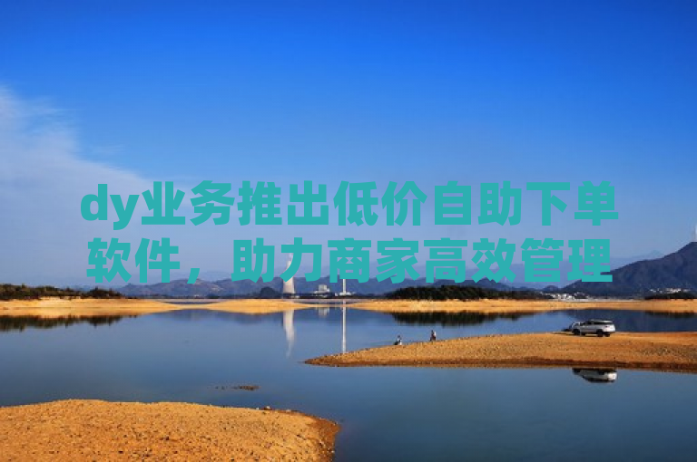 dy业务推出低价自助下单软件，助力商家高效管理订单。