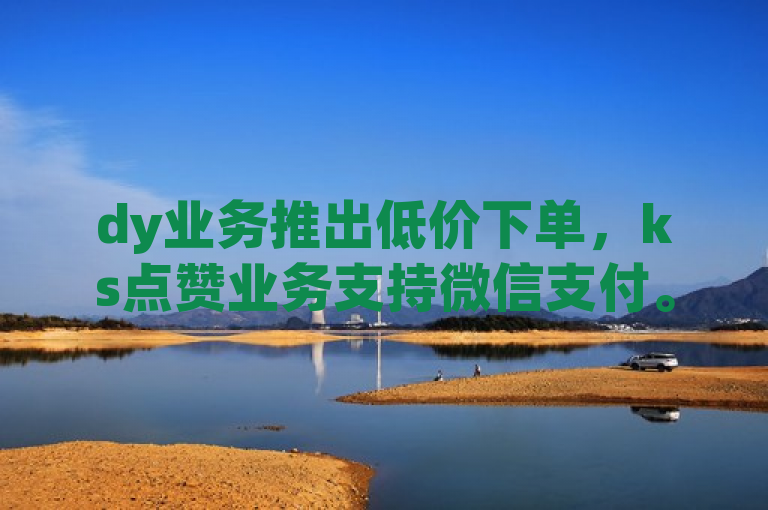 dy业务推出低价下单，ks点赞业务支持微信支付。