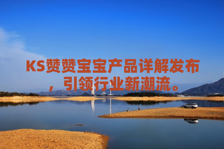 KS赞赞宝宝产品详解发布，引领行业新潮流。
