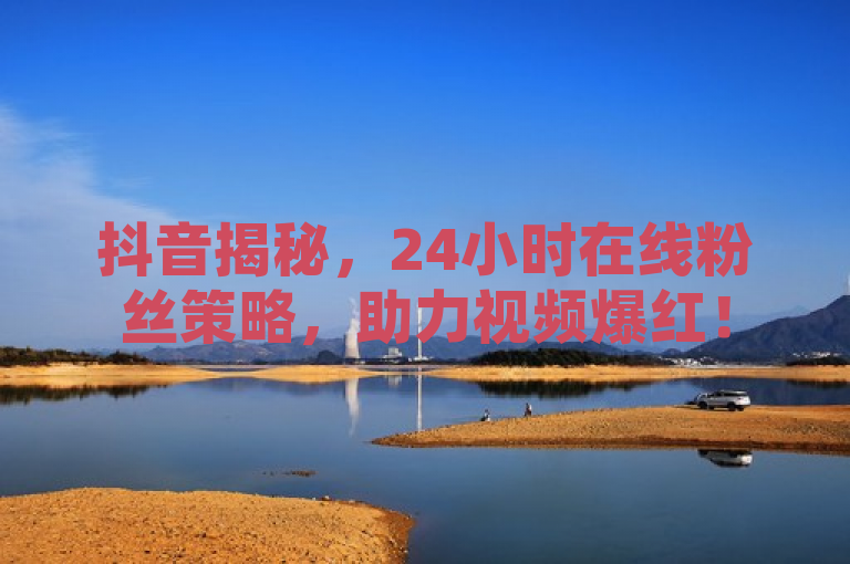 抖音揭秘，24小时在线粉丝策略，助力视频爆红！