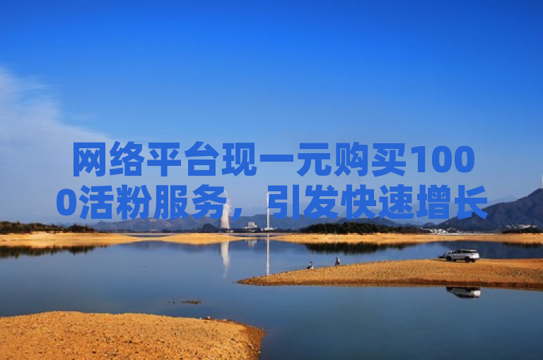 网络平台现一元购买1000活粉服务，引发快速增长关注。