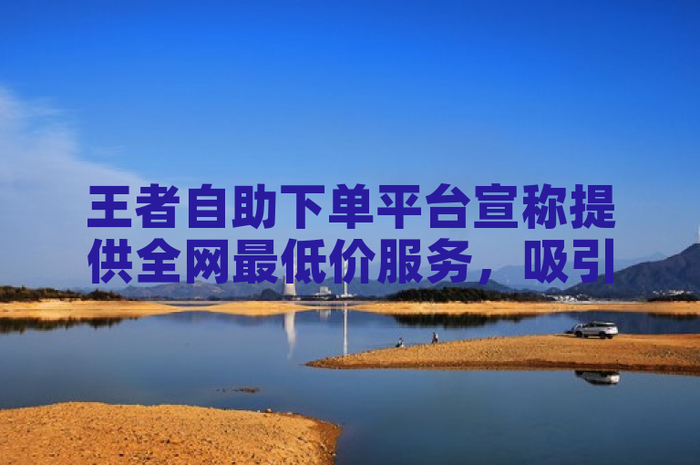 王者自助下单平台宣称提供全网最低价服务，吸引众多消费者关注。