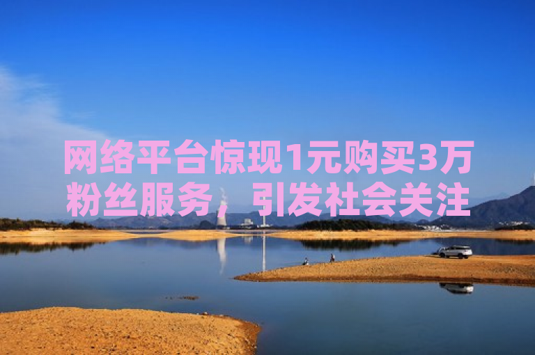 网络平台惊现1元购买3万粉丝服务，引发社会关注。