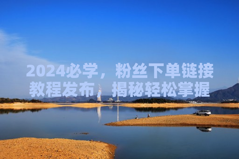 2024必学，粉丝下单链接教程发布，揭秘轻松掌握下单技巧！