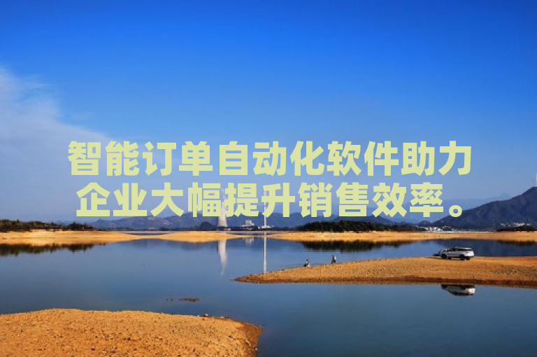 智能订单自动化软件助力企业大幅提升销售效率。