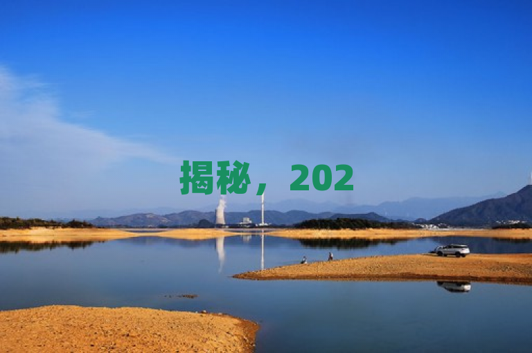 揭秘，2025年必学，QQ空间点赞下单网站人气爆棚！