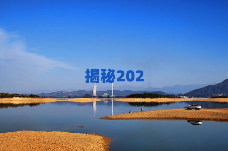 揭秘2025必备，超低价SEO链接服务平台，助力网站流量飙升！
