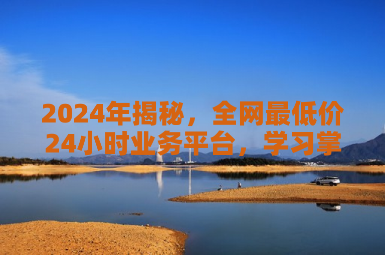 2024年揭秘，全网最低价24小时业务平台，学习掌握新机遇！