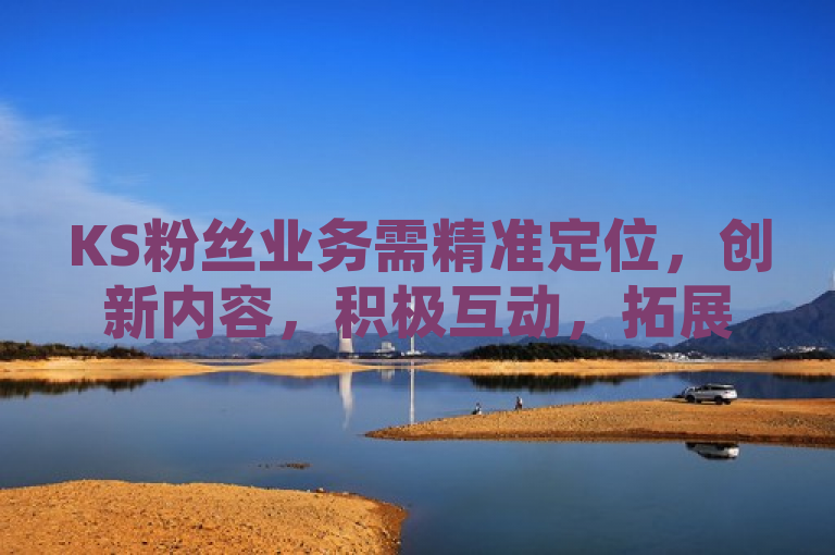 KS粉丝业务需精准定位，创新内容，积极互动，拓展渠道，精细运营。