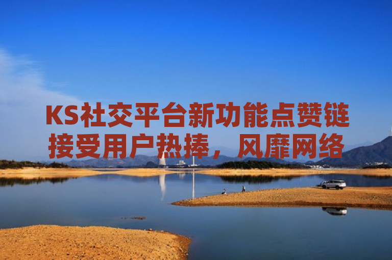 KS社交平台新功能点赞链接受用户热捧，风靡网络。