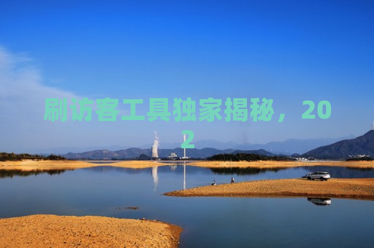 刷访客工具独家揭秘，2025必学提升网站流量有效工具！