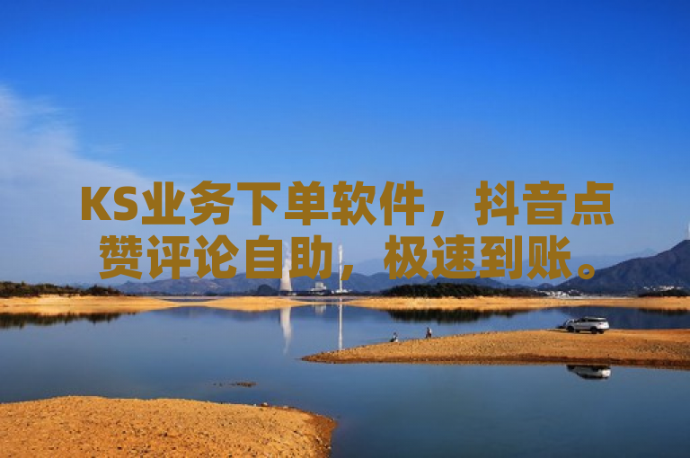 KS业务下单软件，抖音点赞评论自助，极速到账。