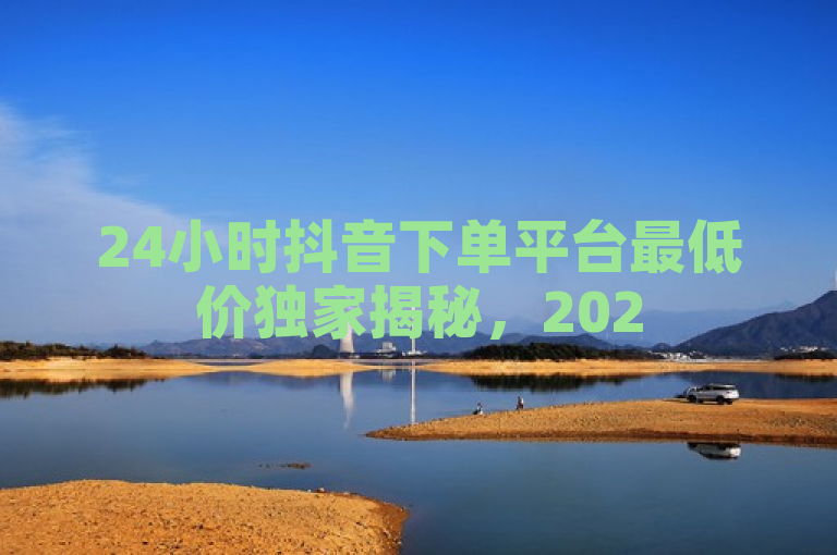 24小时抖音下单平台最低价独家揭秘，2025必学特惠信息！