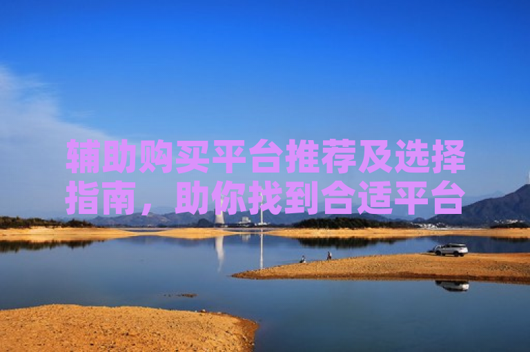 辅助购买平台推荐及选择指南，助你找到合适平台。