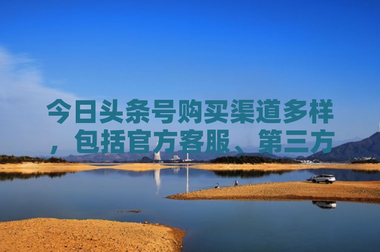 今日头条号购买渠道多样，包括官方客服、第三方平台、协商拥有者及中介机构等。