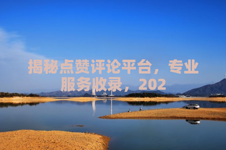 揭秘点赞评论平台，专业服务收录，2025必学之选！