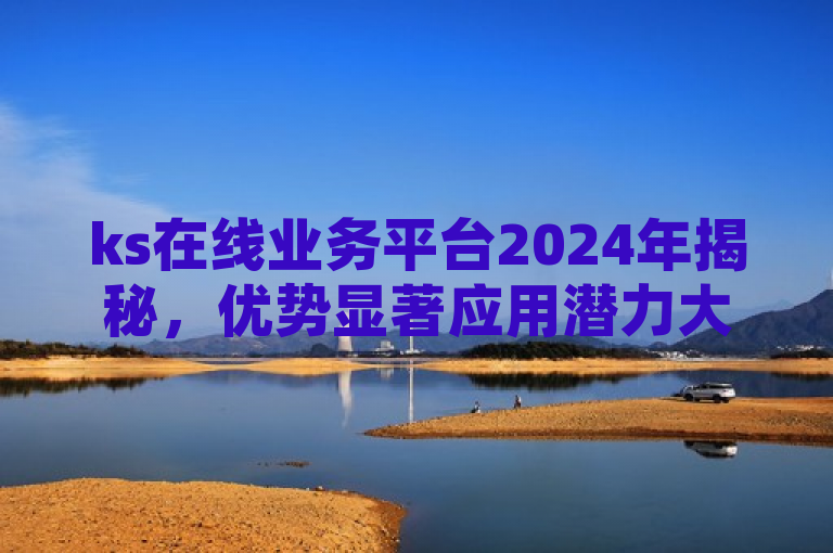 ks在线业务平台2024年揭秘，优势显著应用潜力大！