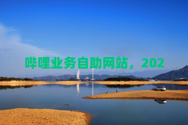 哔哩业务自助网站，2025必学的一站式业务管理平台独家揭秘！