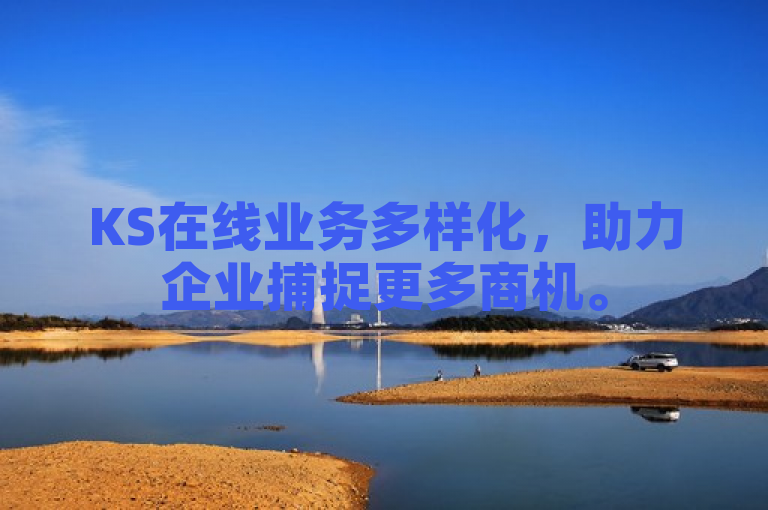 KS在线业务多样化，助力企业捕捉更多商机。