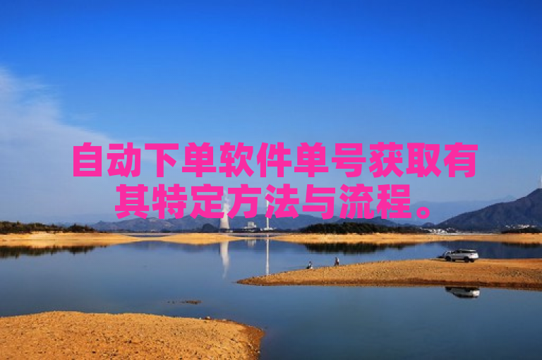 自动下单软件单号获取有其特定方法与流程。