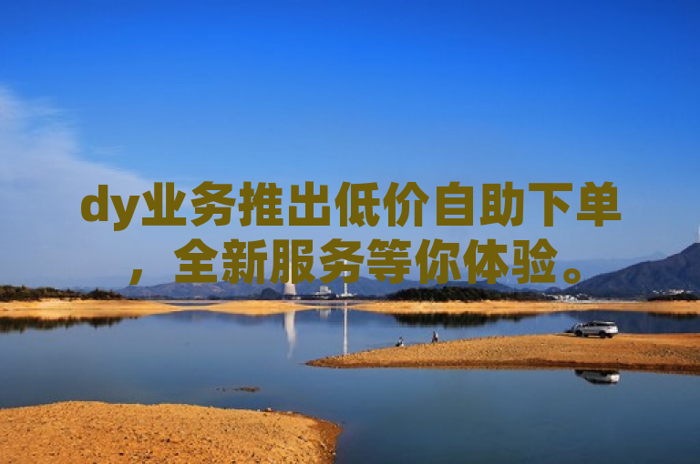dy业务推出低价自助下单，全新服务等你体验。