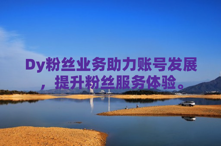 Dy粉丝业务助力账号发展，提升粉丝服务体验。