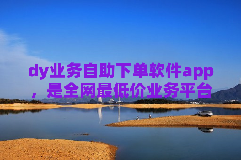dy业务自助下单软件app，是全网最低价业务平台官网的便捷工具。