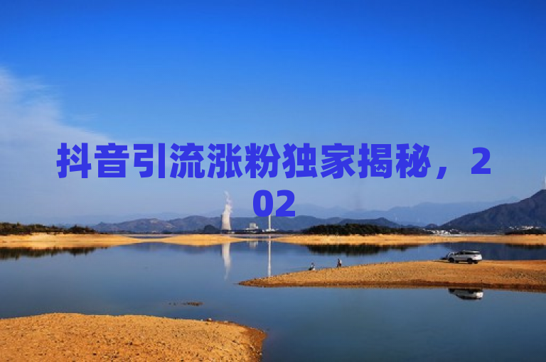 抖音引流涨粉独家揭秘，2025必学的快速增长粉丝终极秘籍！