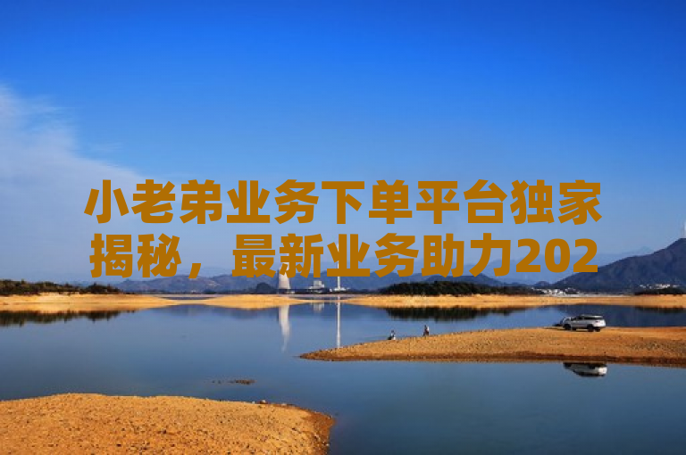 小老弟业务下单平台独家揭秘，最新业务助力2025必学，下单快速便捷。