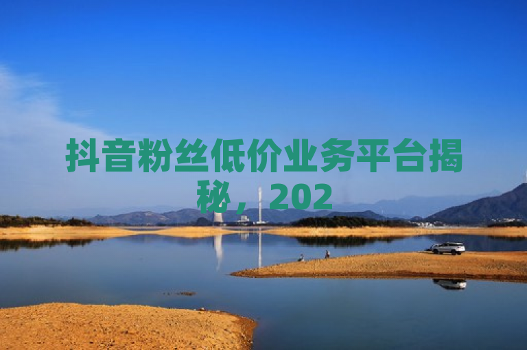 抖音粉丝低价业务平台揭秘，2025必学的逆袭秘密！