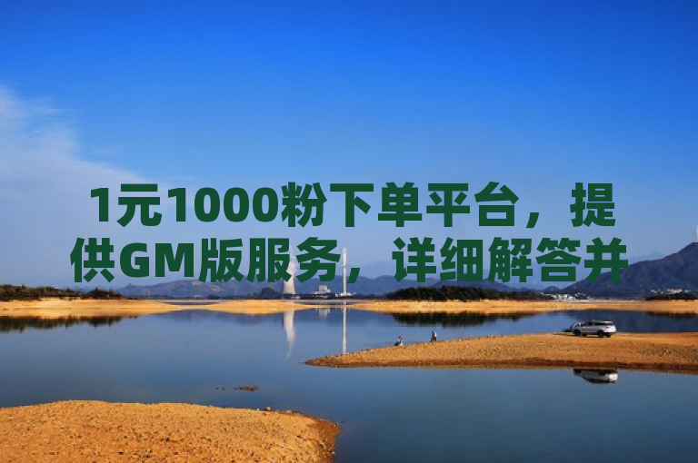 1元1000粉下单平台，提供GM版服务，详细解答并落实。