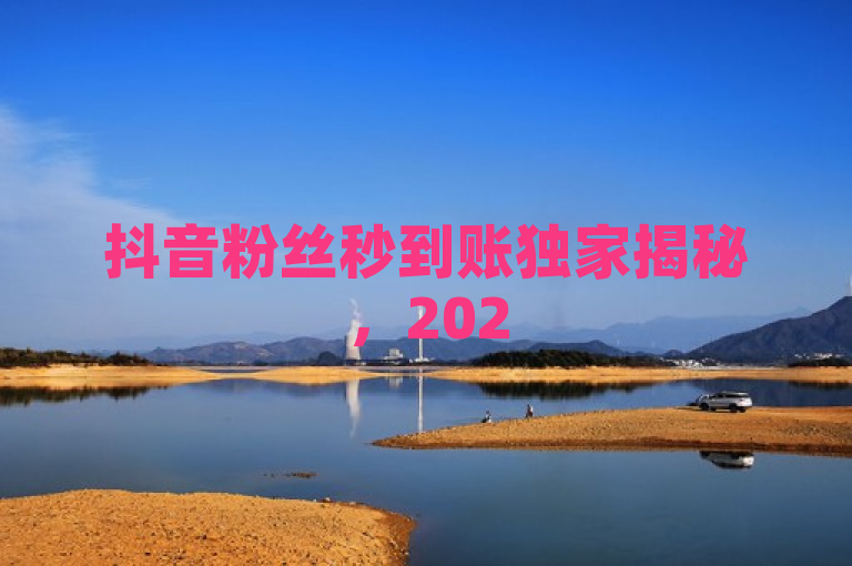 抖音粉丝秒到账独家揭秘，2025必学瞬间增粉技巧！