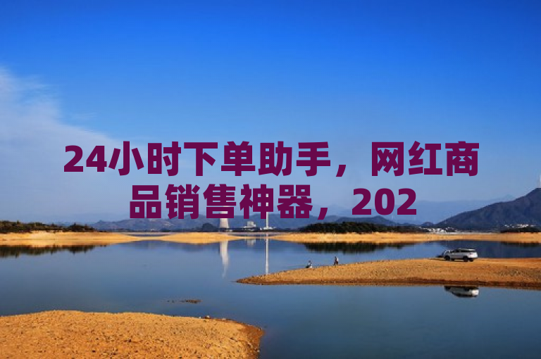 24小时下单助手，网红商品销售神器，2025年必备技能！