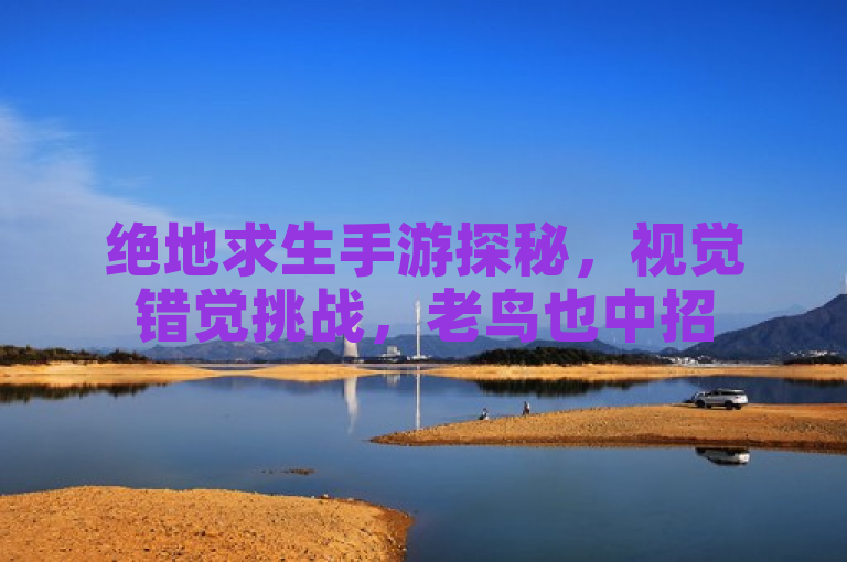 绝地求生手游探秘，视觉错觉挑战，老鸟也中招