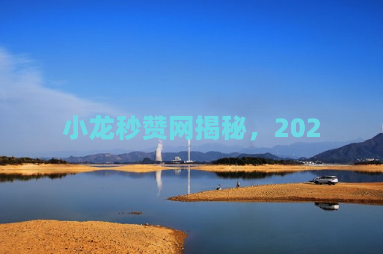 小龙秒赞网揭秘，2025年必学，助力社交媒体营销新突破！