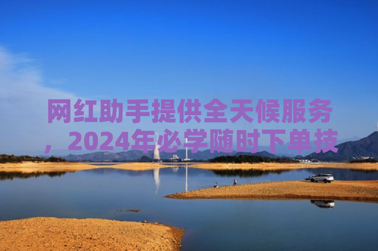 网红助手提供全天候服务，2024年必学随时下单技巧。