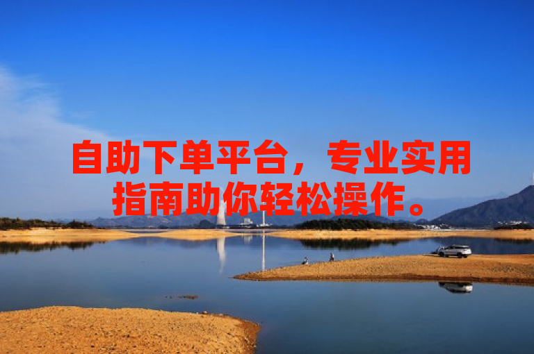 自助下单平台，专业实用指南助你轻松操作。