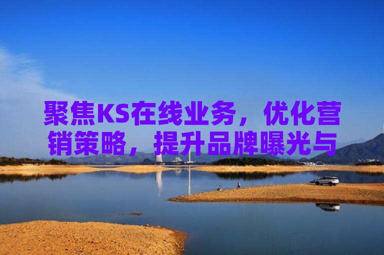 聚焦KS在线业务，优化营销策略，提升品牌曝光与流量。