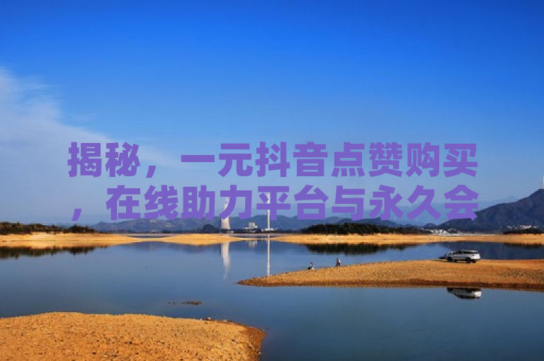 揭秘，一元抖音点赞购买，在线助力平台与永久会员服务。