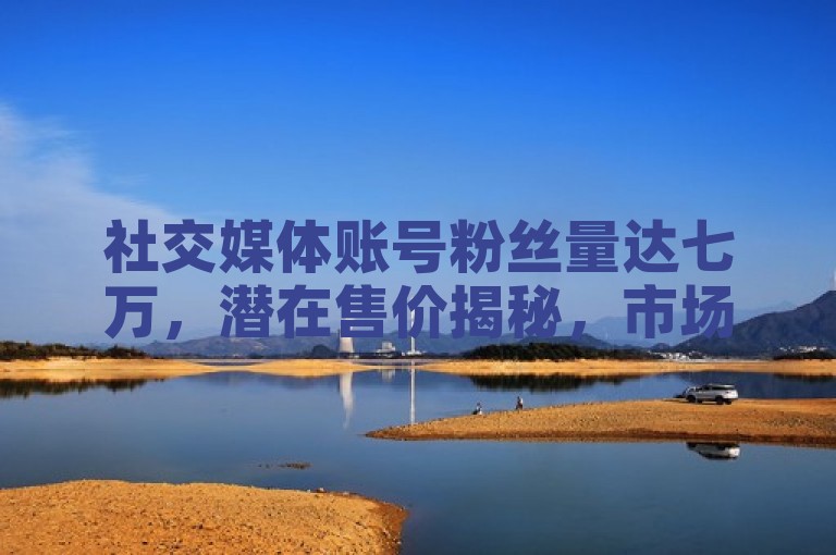 社交媒体账号粉丝量达七万，潜在售价揭秘，市场价值待探索。