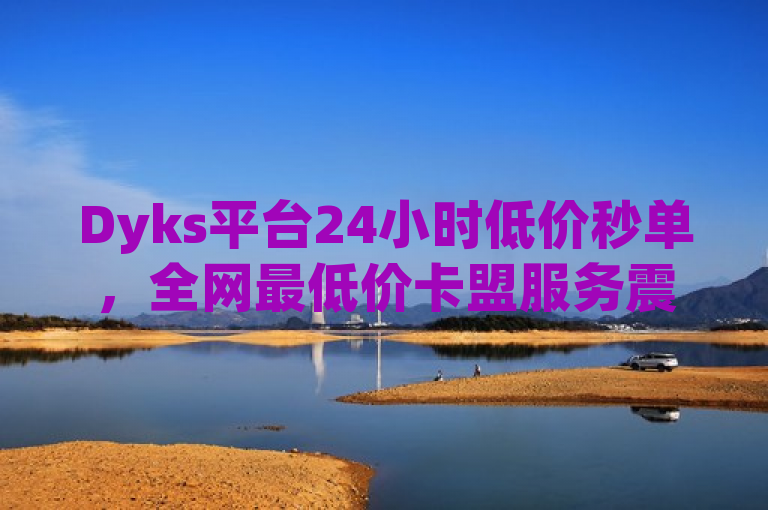Dyks平台24小时低价秒单，全网最低价卡盟服务震撼上线！