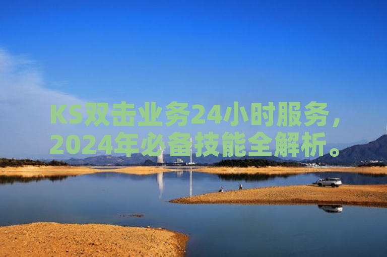 KS双击业务24小时服务，2024年必备技能全解析。