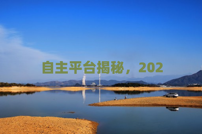 自主平台揭秘，2025年，必学点赞下单新体验！