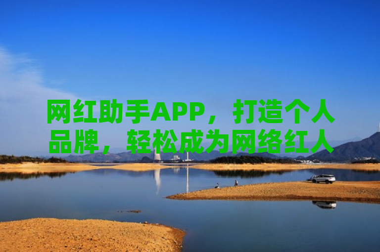 网红助手APP，打造个人品牌，轻松成为网络红人。