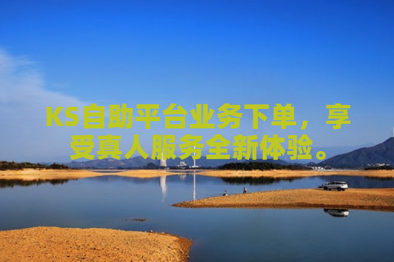 KS自助平台业务下单，享受真人服务全新体验。